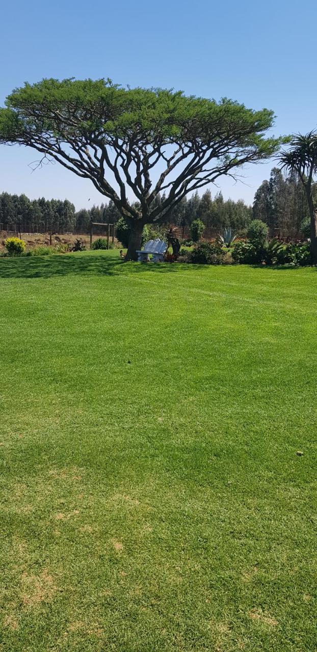 Forest Hill Country Lodge Piet Retief Esterno foto